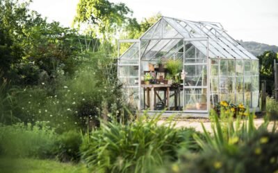 Serres de jardin : choisir entre verre et polycarbonate
